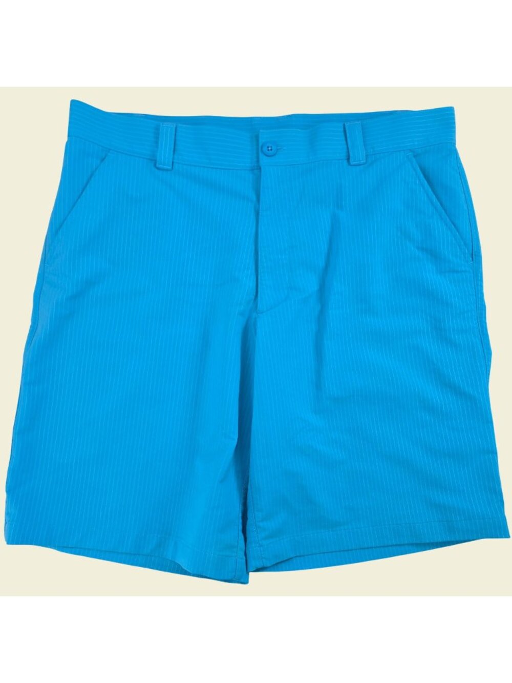 Under Armour Mens Blue Striped Shorts 38